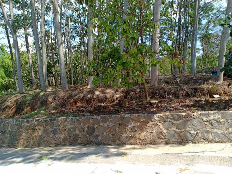 tanah kerjo karanganyar