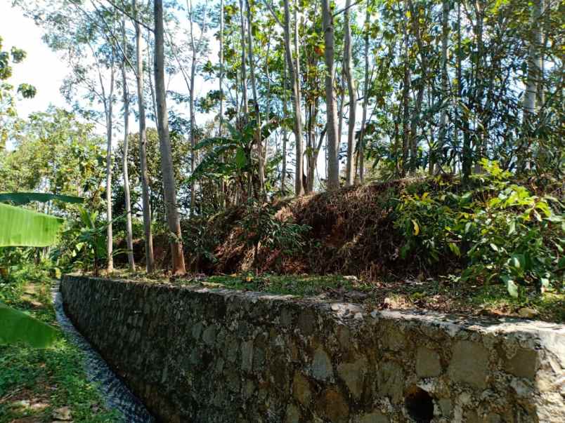 tanah kerjo karanganyar