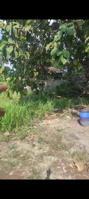 tanah klipang tembalang semarang