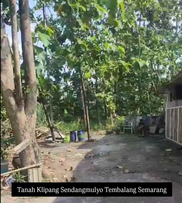 tanah klipang tembalang semarang