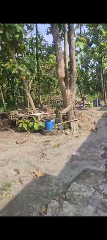 tanah klipang tembalang semarang