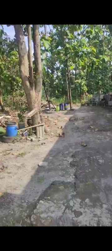 tanah klipang tembalang semarang