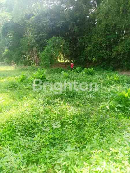 tanah luas akses mobil di sumberkradenan pakis malang