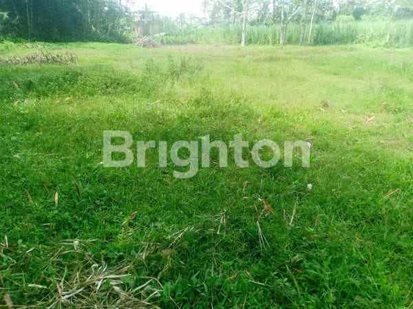 tanah luas akses mobil di sumberkradenan pakis malang