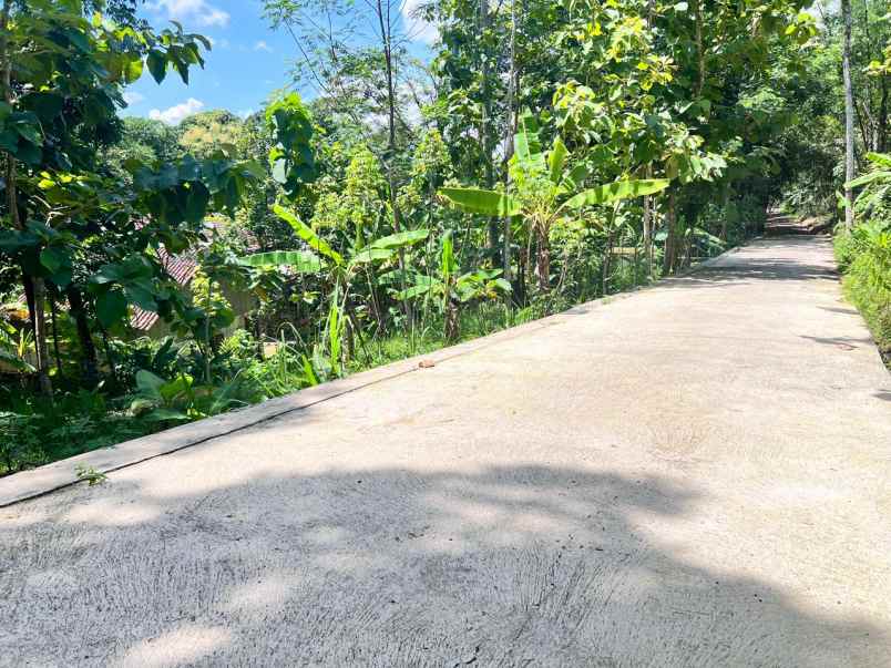 tanah mojogedang karanganyar 1200m datar siap bangun