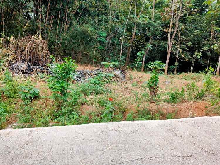 tanah mojogedang karanganyar