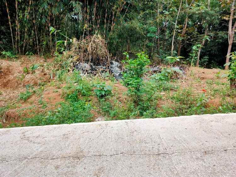 tanah mojogedang karanganyar