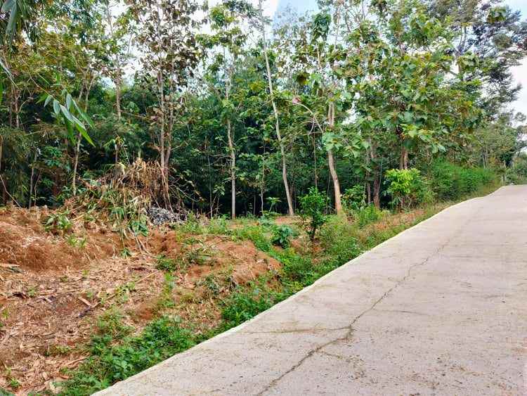 tanah mojogedang karanganyar