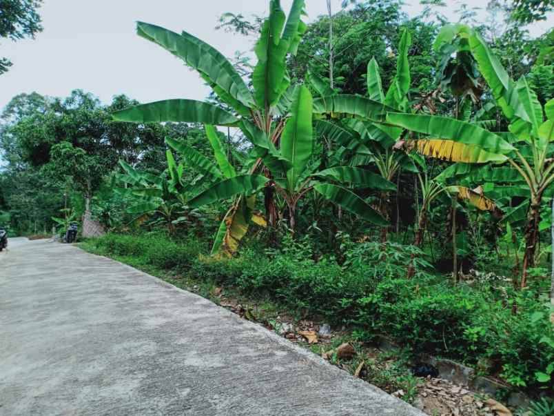 tanah mojogedang karanganyar