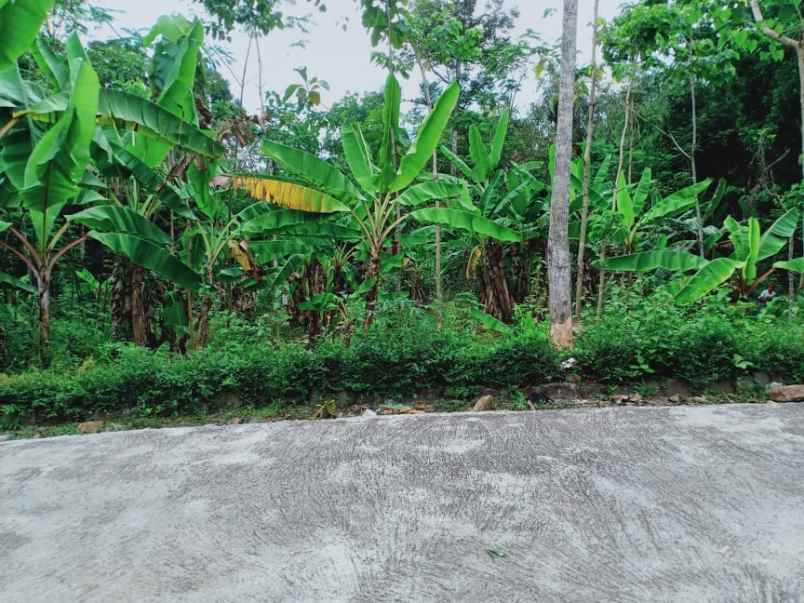 tanah mojogedang karanganyar