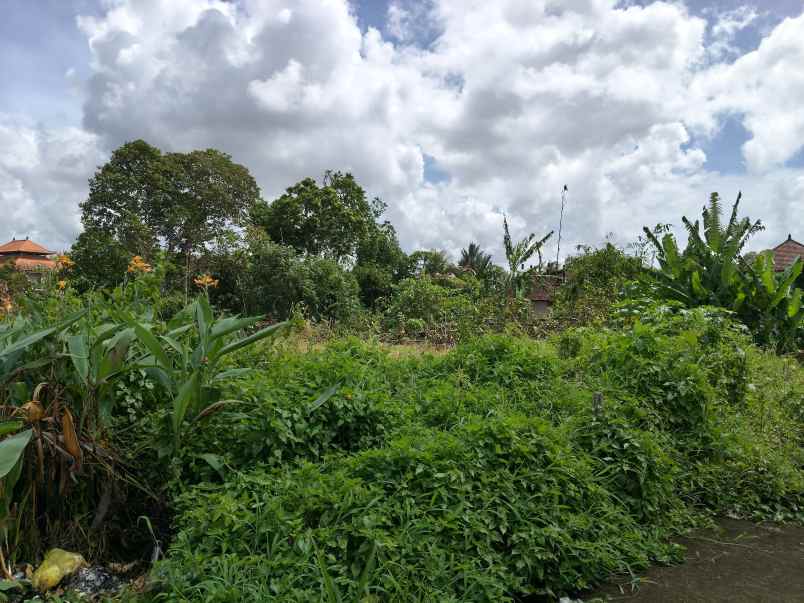 tanah murah di sanggulan kediri tabanan bali