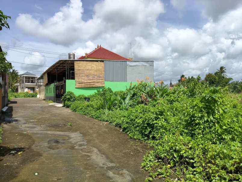 tanah murah di sanggulan kediri tabanan bali