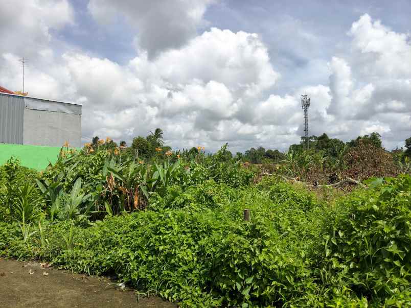 tanah murah di sanggulan kediri tabanan bali
