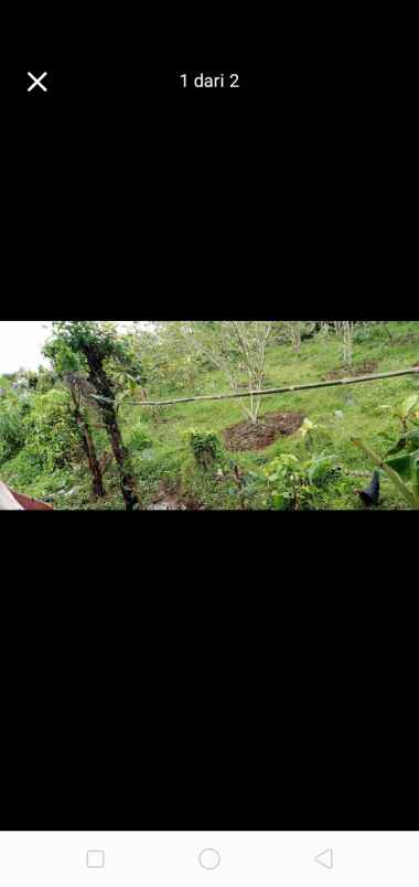 tanah murah meriah banget