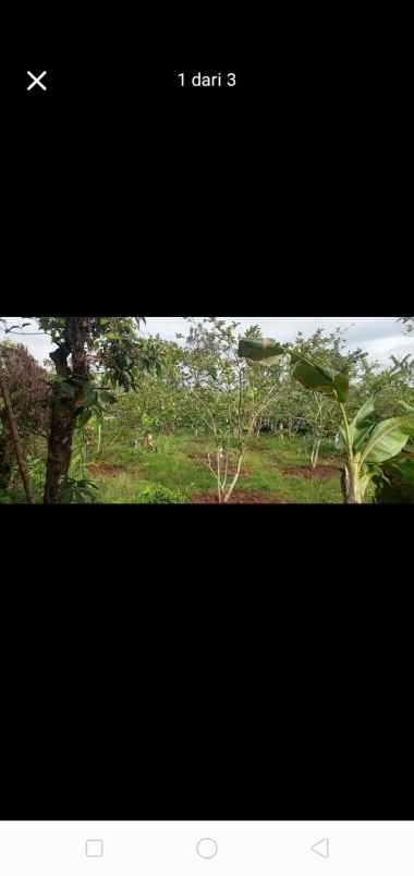 tanah murah meriah banget