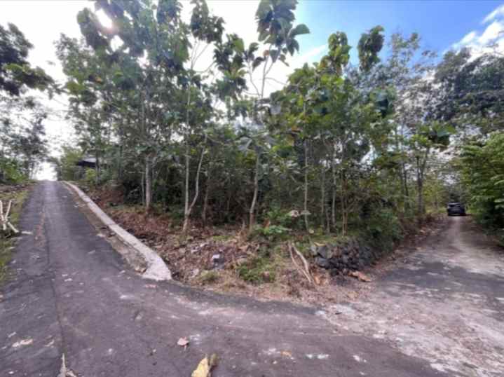 tanah presisi dekat kolam renang