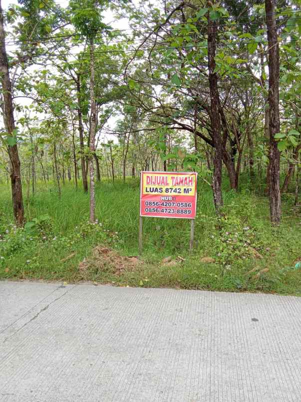 tanah presisi murah dan multi fungsi