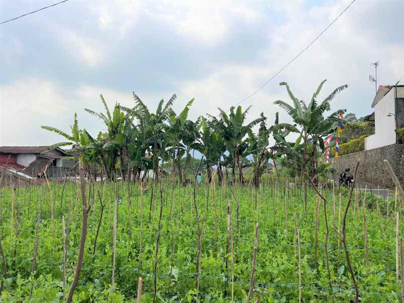 tanah strategis 930m kota wisata tawangmangu