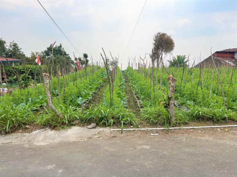tanah strategis 930m kota wisata tawangmangu