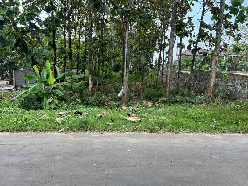 tanah super datar 700m 225jt kedawung sragen