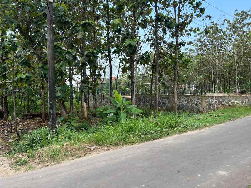 tanah super datar 700m 225jt kedawung sragen