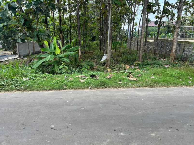 tanah super datar 700m 225jt kedawung sragen
