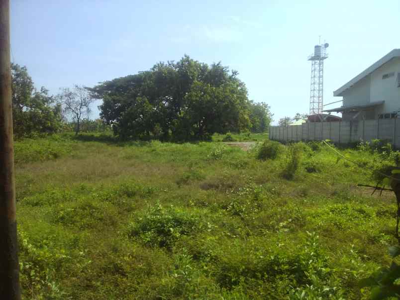 tanah tepi jalan raya pasuruan kota