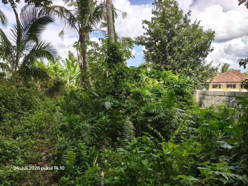 tanah view sawah dan laut di megati tabanan bali