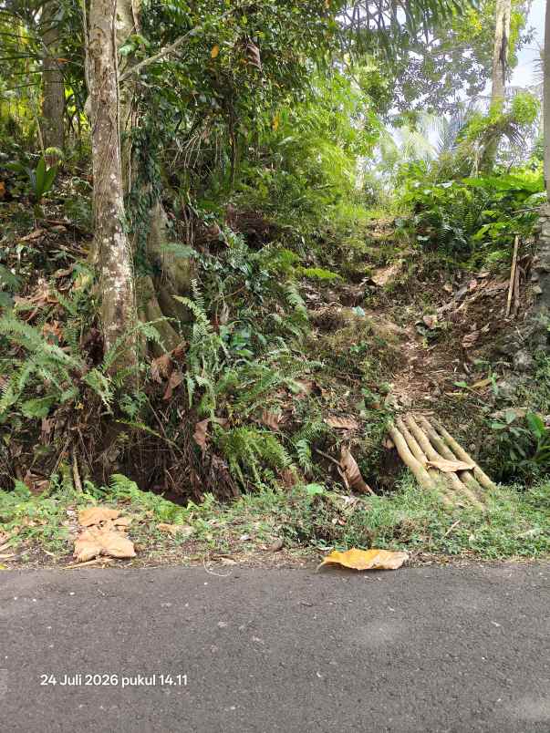tanah view sawah dan laut di megati tabanan bali
