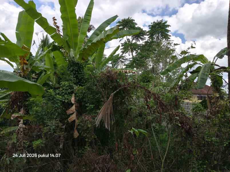 tanah view sawah dan laut di megati tabanan bali