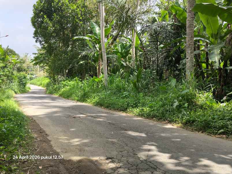 tanah zona kuning non lsd di tegallalang gianyar bali