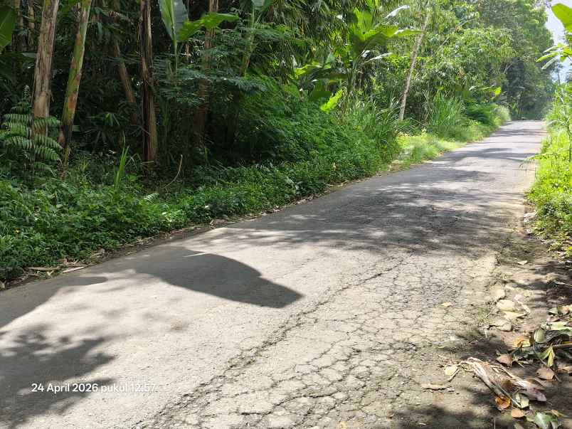 tanah zona kuning non lsd di tegallalang gianyar bali