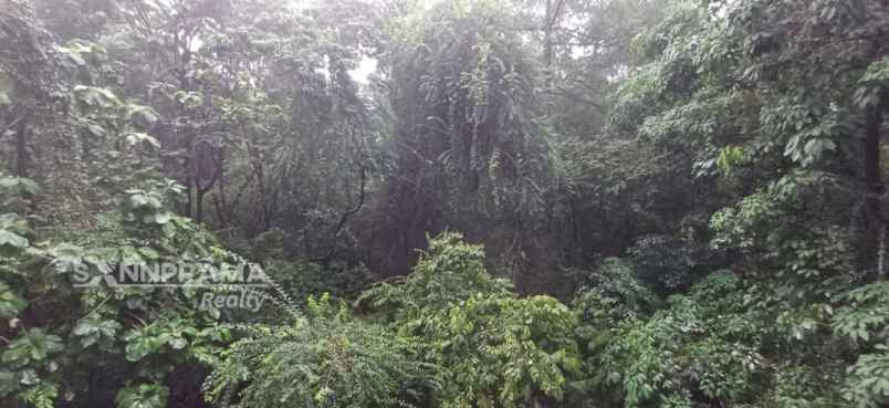 apartemen siap huni di transpark cibubur