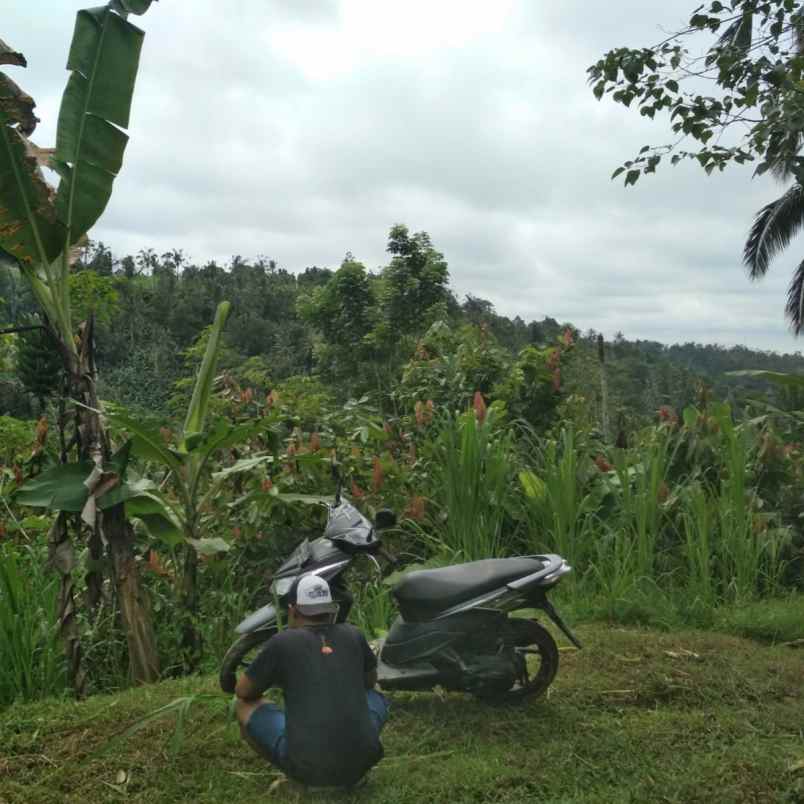 dijual 1 058 ha ds buahan payangan ubud gianyar bali