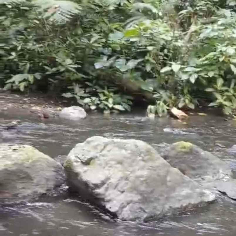 dijual 1 058 ha ds buahan payangan ubud gianyar bali