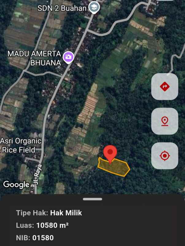 dijual 1 058 ha ds buahan payangan ubud gianyar bali