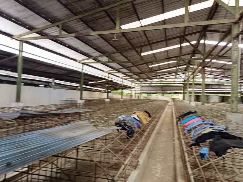 dijual kandang babi 1 2ha ijin aktif salatiga 15m nego