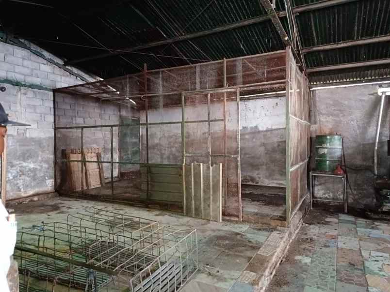 dijual kandang babi 1 2ha ijin aktif salatiga 15m nego