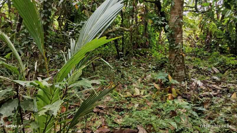dijual lahan dengan view lembah dan bukit yang indah