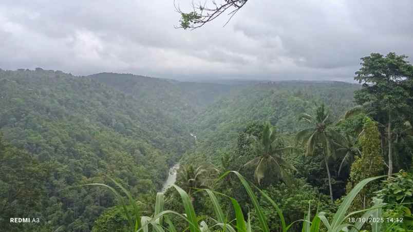 dijual lahan dengan view lembah dan bukit yang indah