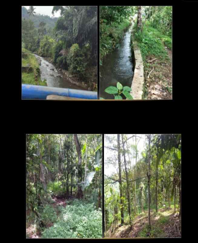 dijual lahan untuk peternakan subang jawa barat