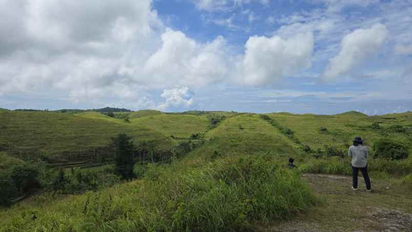dijual nusa penida bukit teletubis bali