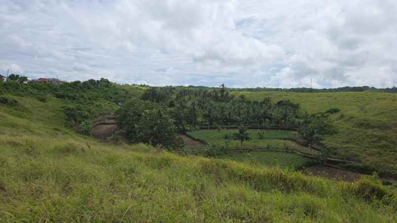 dijual nusa penida bukit teletubis bali