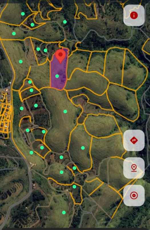 dijual nusa penida bukit teletubis bali