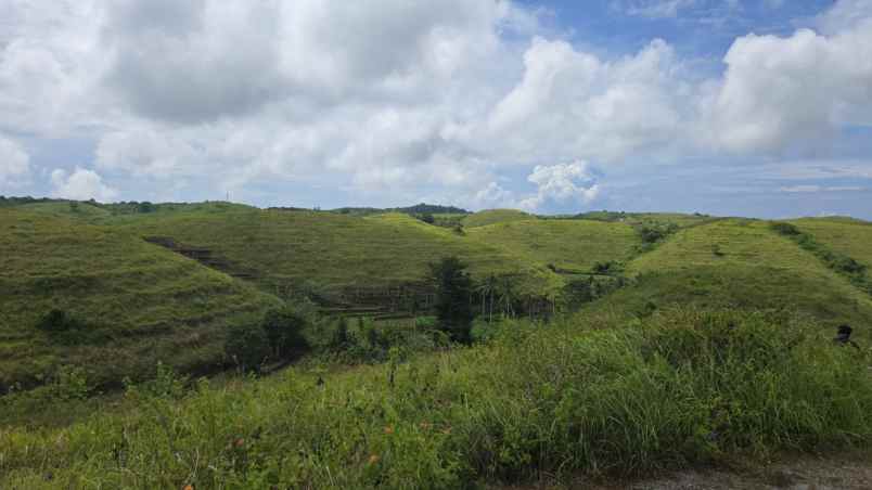dijual nusa penida bukit teletubis bali