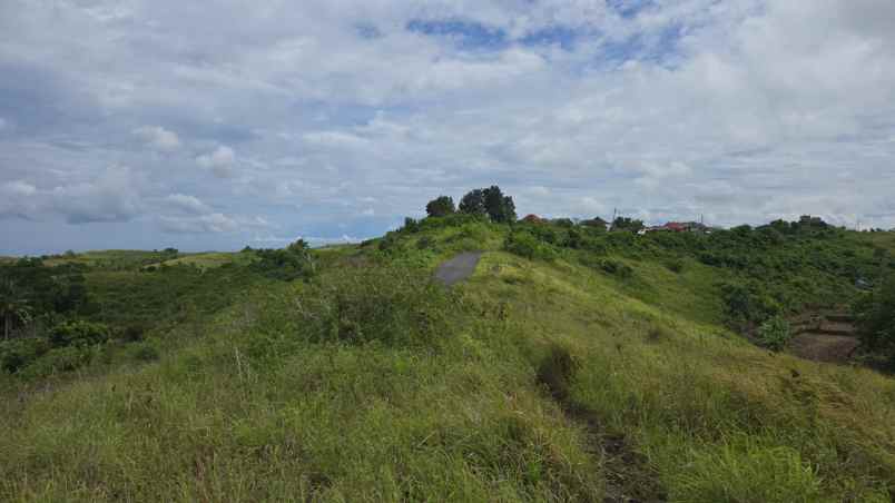 dijual nusa penida bukit teletubis bali