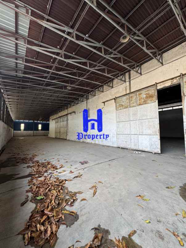 dijual ruko gudang kantor jalan irian barat sampali