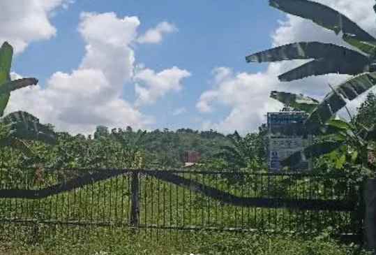 dijual ruko gudang kantor jalan lokpaikat tapin