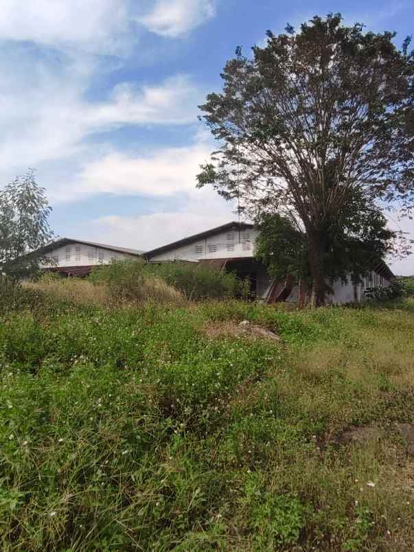 dijual ruko gudang kantor wetan