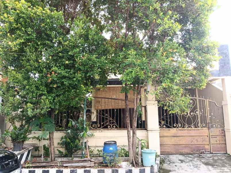 dijual rumah darmo indah selatan